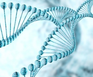 Las pruebas de ADN se cuestionan en Texas