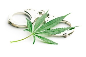 Marijuana arrests outstrip those for violent crimes