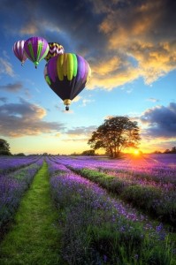 Balloon pilot in fatal crash had multiple DWIs