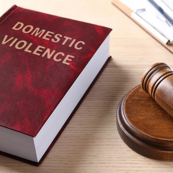 What Counts As Domestic Violence Under Texas Law? What Counts As Domestic Violence Under Texas Law?
